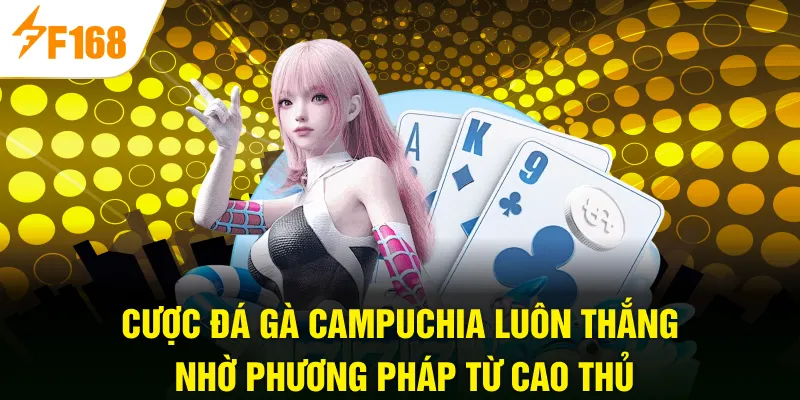 Cược đá gà Campuchia luôn thắng nhờ phương pháp từ cao thủ