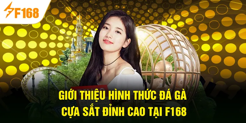 Giới thiệu hình thức đá gà cựa sắt đỉnh cao tại F168