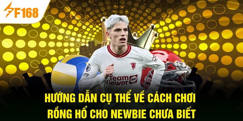 Hướng dẫn cụ thể về cách chơi Rồng Hổ cho newbie chưa biết