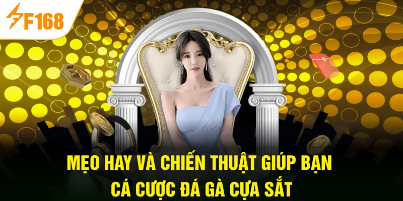 Mẹo hay và chiến thuật giúp bạn cá cược đá gà cựa sắt