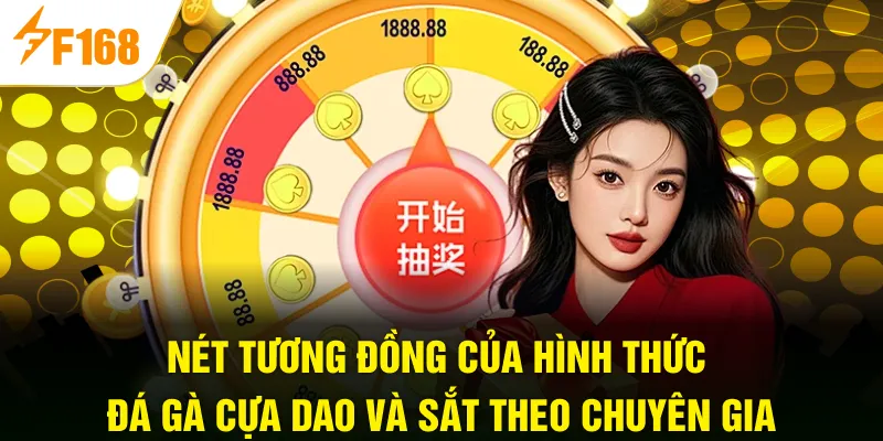 Nét tương đồng của hình thức đá gà cựa dao và sắt theo chuyên gia